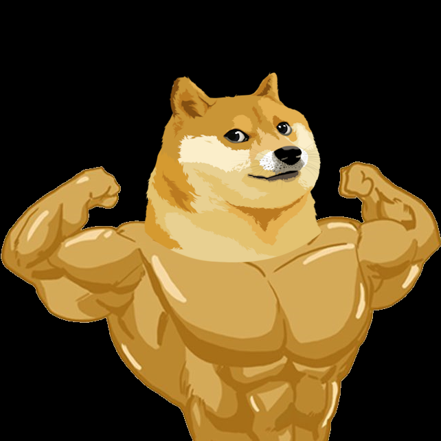  Doge  King 