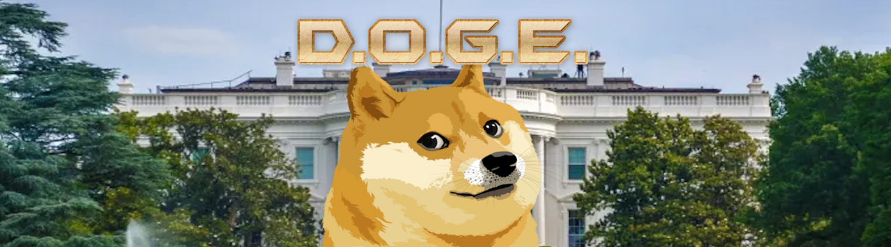  Doge  King 